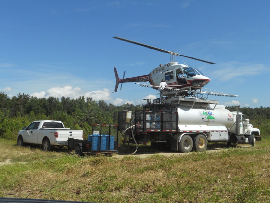 Rock Springs Forestry provides Tree Spraying services to our clients.